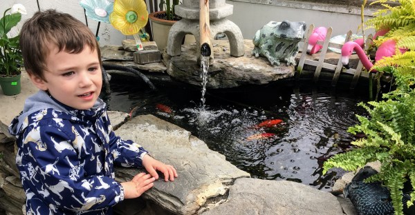 Reece by Koi pond on April vacation