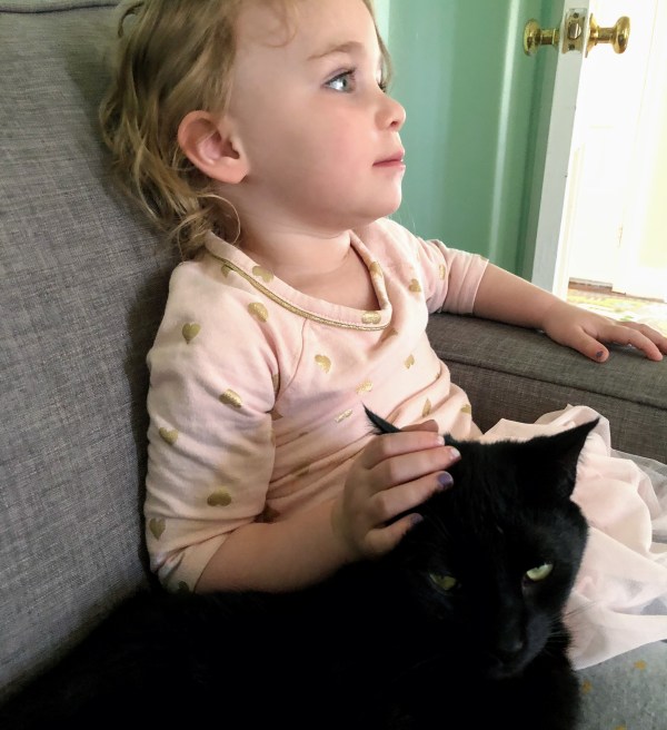 Kat petting Shadow (cat) before my Mom Fail