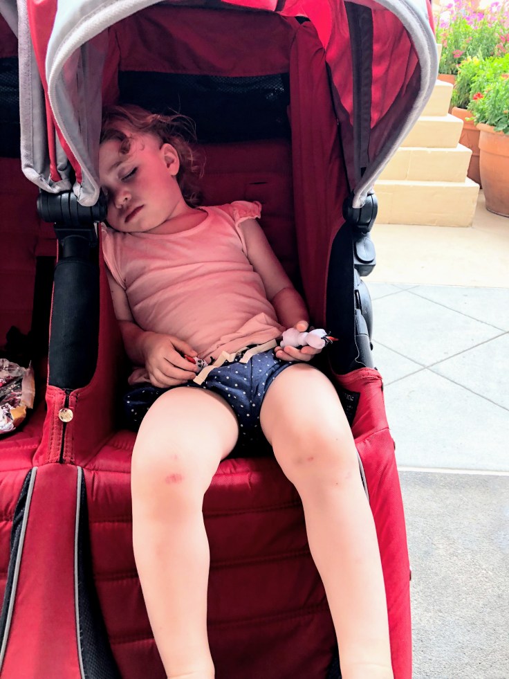 Kat napping in stroller at Epcot